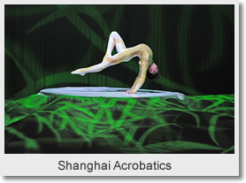 Shanghai Acrobatics